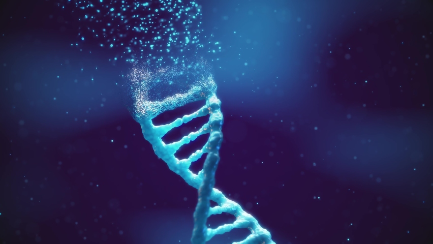 Emergence of life(abiogenesis) and evolutionary genetics concept. Animation of double helix DNA molecule created from particles | Shutterstock HD Video #1077459068