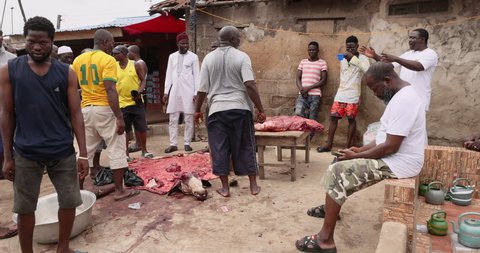 NIMA, GHANA - 20 JUL 2021: Muslim men Cow sacrifice Eid al Adha festival home Accra Ghana. Animal sacrifice to end Islam holy month of Ramadan and Eid ul Adha for Islam. Cows, goats, camels and sheep.