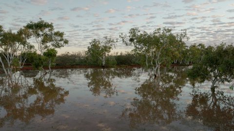 dawn view of a billabong near lyndon in outback western australia