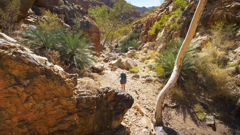 Tilt up, hiker walks through rocky gap and native plants, Central Australia