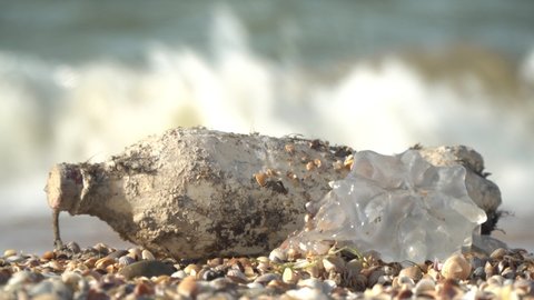 Plastic garbage and a bottle on the seaside. The problem of plastic pollution of nature, sea and ocean