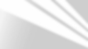 Simple Shadow Overlay Effect on White Texture Background. Beautiful and Realistic Look and Feel. For Overlay on Product Presentation, Backdrop and Mockup. 4K Ultra HD Resolution. - Powered by Shutterstock - Get 15% off with code: PIKWIZARD15