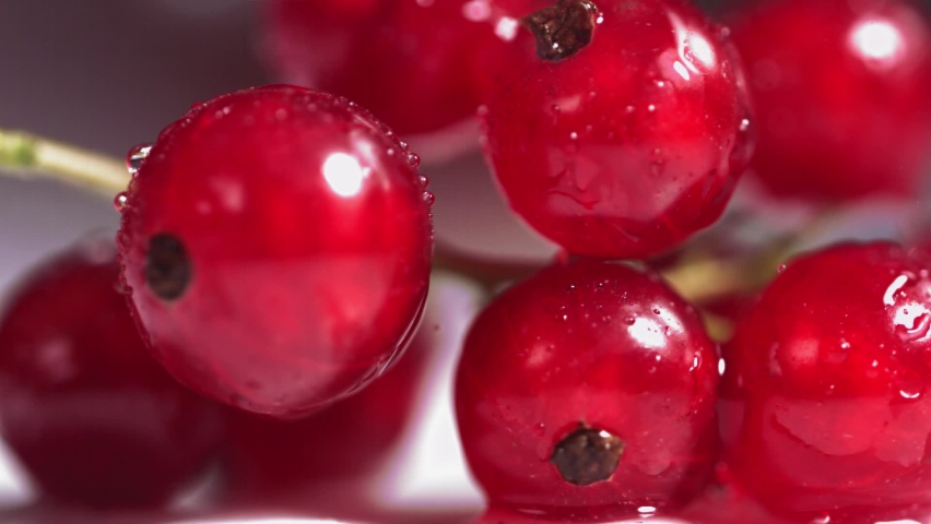 Close-up view of Falling Red Currant Berries on white plate | Shutterstock HD Video #1077484589