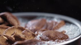 Close-up mushrooms are boiled in a saucepan with boiling water. Slow motion video in 4K. - Powered by Shutterstock - Get 15% off with code: PIKWIZARD15