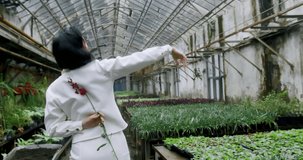 Close up video of asian woman posing with pion flower in greenhouse. 4k 