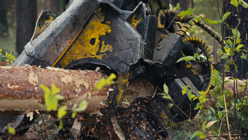 Modern Industrial Harvester Tree Saw Cutting Tree Trunks With A Claw. Close Up Of Harvester Tree Saw Working Process. Heavy Harvester Tree Saw Processing Lumber Material At A Forestry Production Site. Royalty-Free Stock Footage #1077512399