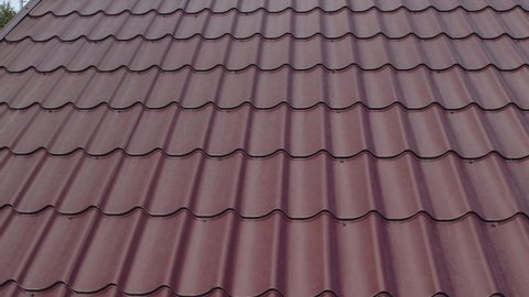 The tiled roof of the new log bathhouse