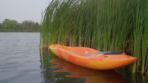 Fort Collins, CO, USA - August 5, 2021: Bellyak, prone kayak, slowly floating  near reeds at lake shore in Colorado, water recreation which combines the aspects of kayaking and swimming.
