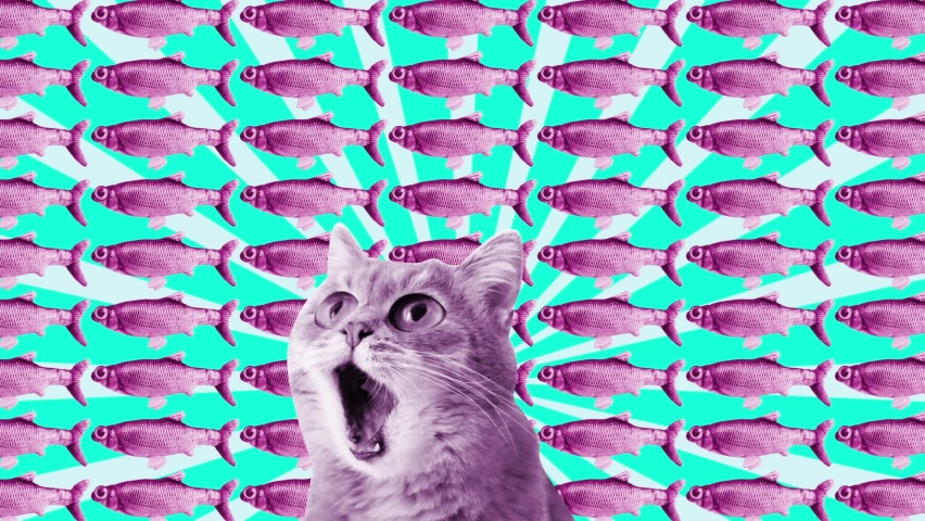 Funny kitty with fish as Visual Background. Pop dance Visual Design. Royalty-Free Stock Footage #1077524021