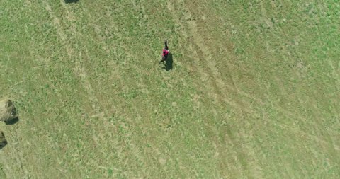Dark horse with female rider across field at summer sunny day. Girl in red dress. Woman Horseback Riding Powerful Gelding on Ranch Between Fields. Aerial view. Equestrian sport. 4k
