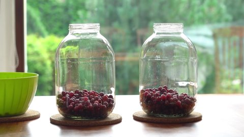 Adding gooseberries to jars for compote or stewed fruit preparation, cooking.