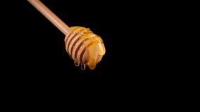 Thick honey flowing down from the honey spoon on black background.