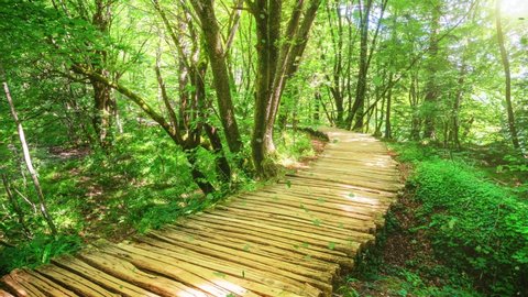 Cinemagraph video of springtime wooden path in Plitvice Lake, Croatia . Tranquil nature scenery for relaxation background .
