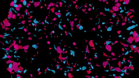 Pink and blue rose petals explosion on alpha channel background.