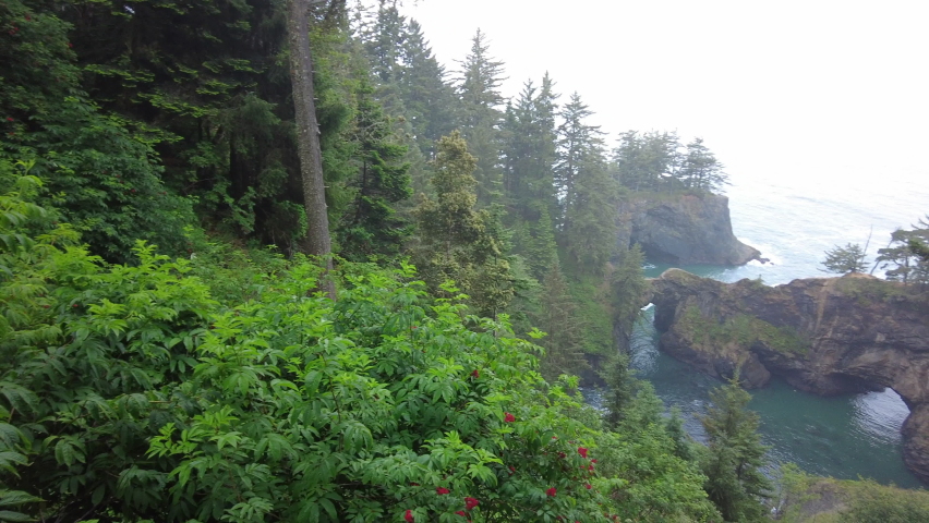 The nutrient-rich Pacific Ocean washes against the scenic and forested coastline of southern Oregon. This beautiful region of the Pacific Northwest is accessible via highway 101.