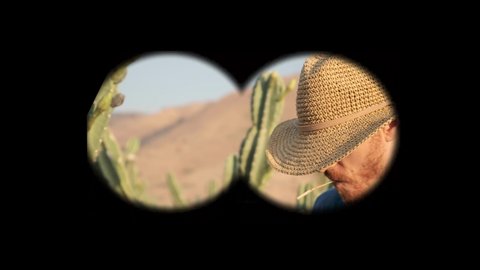 View through binoculars on Tough cowboy wearing straw hat standing in a cactus desert field chewing straw in the wild wild west. Cowboy. cacti forest Desert Golan heights Israel. Kubo.  POV  van gogh