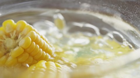 Boiled sweet corn cobs in glass saucepan. Few ripe corn cobs without leaves in hot water. Yellow ears of corn in boiling water. Cooking in saucepan on stove. Transparent pot of boiling water, corn cob