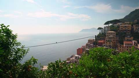 Riomaggiore in Cinque Terre, beautiful view of town and Mediterranean Sea from a Terrace above Riomaggiore