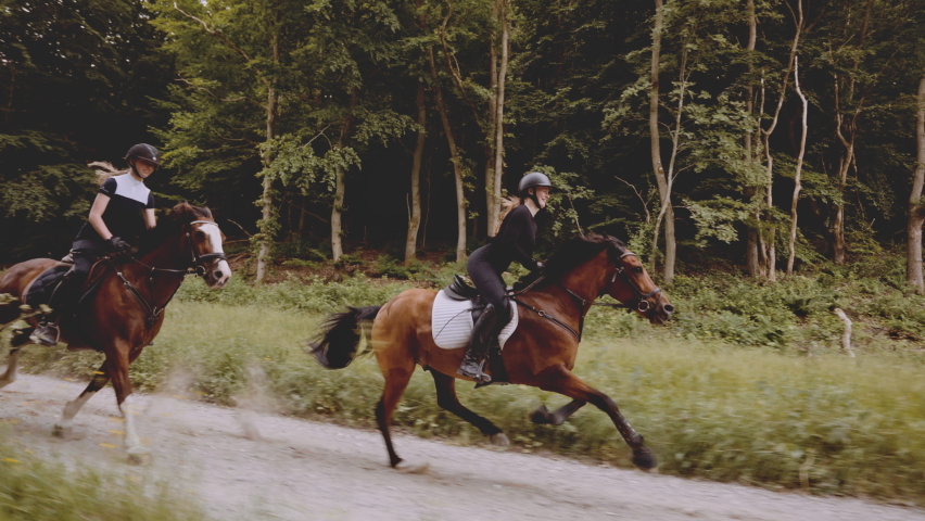 Two blonde female equestrians, riding on a narrow road in fast brown horses, as they sway their beautiful mane with the wind, amidst a lush forest, tall trees, grass and clear skies Royalty-Free Stock Footage #1077605792