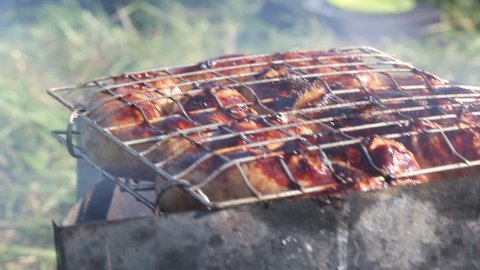 Grill rack with toasted sausages. Smoke is coming on the grill with glowing coals. Picnic in the meadow among the green grass. Close-up shot.