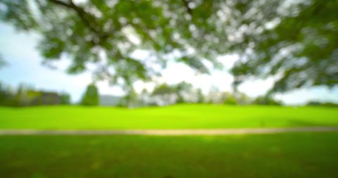 Motion blur Park and Outdoor Green meadow Background.  Video public park. Panoramic view of big tree and green meadow park in morning time and beautiful nature sun light, 4K UHD. Video Clip.