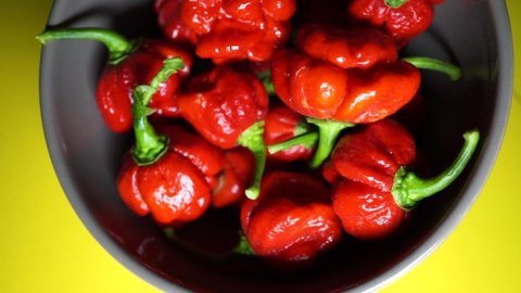 Freshly picked red scorpion peppers and placed in a ceramic container