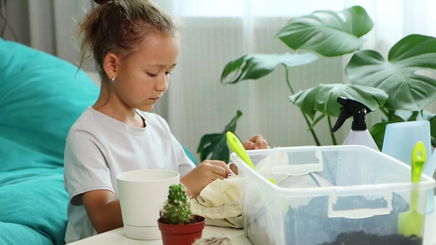 Little cute child girl transplants a cactus into new bpot at home. She puts extended clay into the pot by hands.