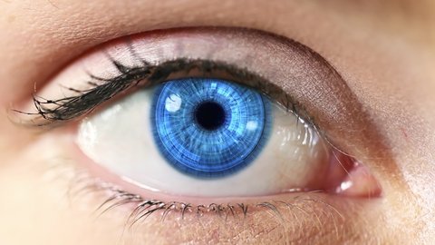 Macro shot of young female blue eye with innovative futuristic sophisticated high technology hud application with augmented reality holograms. Internet of things, surveillance system.