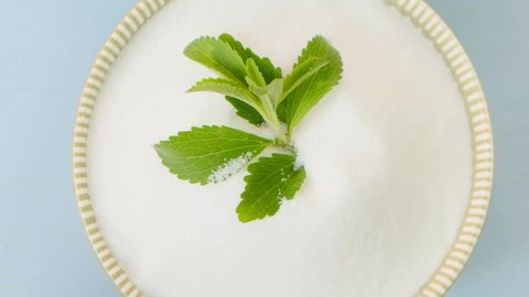 Stevia. Natural sweetener. Stevia white powder and stevia green sprig in a round cup on a light blue background. High quality 4k footage