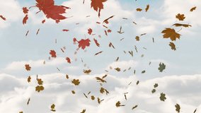 Animation of thanksgiving sale text over falling leaves. holiday, sales, retail, celebration, american tradition and nature concept digitally generated video.