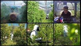 Orchard Spraying Conceptual Multi Screen Video. Young Farmer Portrait in a Cabin of a Tractor During Orchard Spraying.  Fruit Grower in Protective Suit and Gas Mask Spraying Orchard.