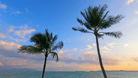 Palm tree on summer beach with bright sunrise or sunset blue sky n cumulus colorful pastel pink cloud n yellow cloudscape over sea water surface n calm ocean wave, 4k cinemagraphsb-roll footage video