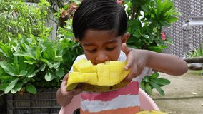 An Asian little kid eating a big piece of a ripe mango. Baby boy 2-year-old eating ripe mango fruit sitting in the baby tray-chair close-up view. Baby eating fruit in the garden. Slow-motion video.