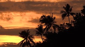 Beautiful sunset and tropical island through palm leaves. Orange Sky Silhouette Palm Tree Branch.Amazing romantic on summer sunrise for seascape.  Copy space.no people