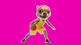 Digitally generated. 4K Minimal animation motion design. Funny dog face on basketball player with ball. Pop mood. Man in stop motion, 2D, modern, conceptual, contemporary pop art collage. Sport