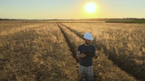Young farmer with white helmet analyze data from grain wheat field at sunset. Smart farming for precision agriculture with technological device connected to 5G 6G network. - Powered by Shutterstock - Get 15% off with code: PIKWIZARD15