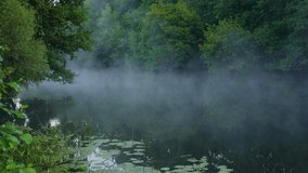 Morning moody white mist over surface of calm peaceful water of river floating in countryside area among many old green trees growing on river shores. 4k real time video landscape