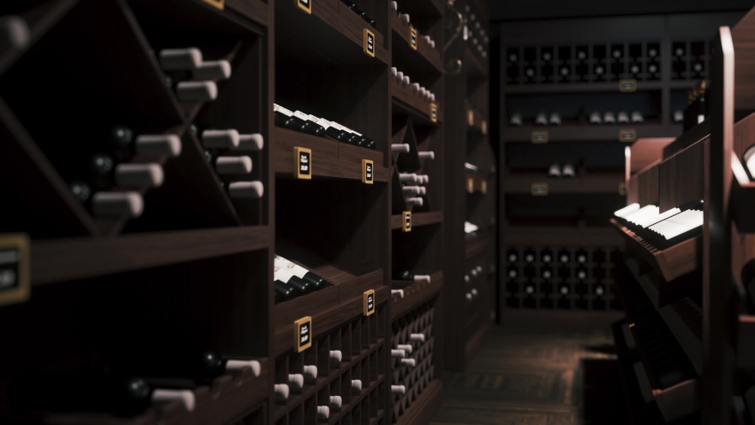 Shelves with wine bottles. 3d visualization Royalty-Free Stock Footage #1077698942
