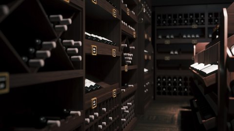 Shelves with wine bottles. 3d visualization