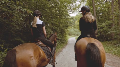 Camera is placed at their back, two female equestrians chatting, while mounted in coffee-colored horses, one with a star mark on its legs, as they are surrounded by tall forest trees