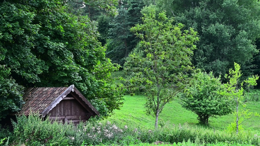A small wooden house, a tree in the garden, a valley