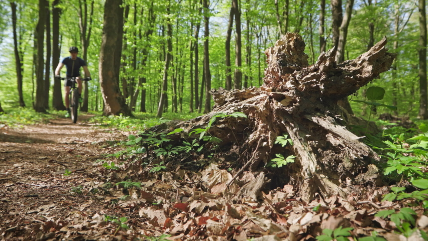 A cyclist on an MTB bike is entering a turn at speed. He is training in the woods. He is going around a fallen tree. 4K