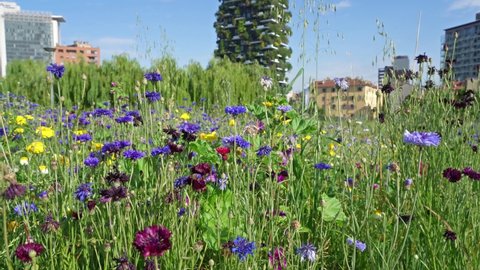 Milano, Italy. Bosco Verticale, view at the modern and ecological skyscraper with many trees on each balcony. Public park in the foreground with fresh and colored flowers