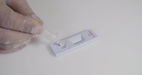 Closeup shot of doctor hand pressing drop test of liquid antigen to covid-19 nasal swab testing rapid tests, covid-19 antigen self test kit at home 