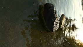 VERTICAL VIDEO, Waves of the lake crashing against the stones in the water, sunset