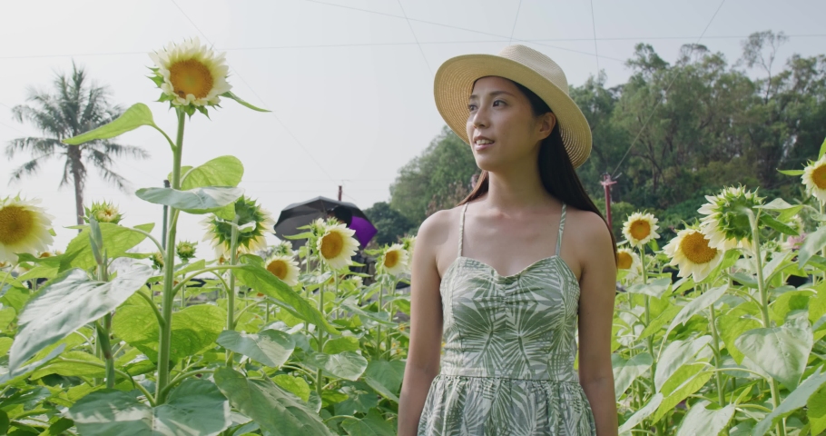 Woman visit sunflower farm in countryside