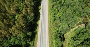 Aerial view of the highway in the middle of the forest, along which cars are passing. 4K video.