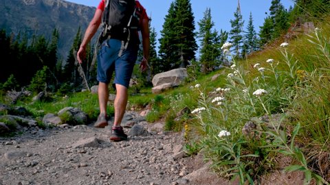 Hiking past white wildflowers on a dirt trail in Rocky Mountain National Park, Colorado, USA, summer time
