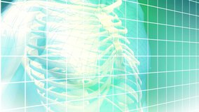 Animation of human skeleton , dna strand spinning over grid. global science, digital interface and data processing concept digitally generated video. - Powered by Shutterstock - Get 15% off with code: PIKWIZARD15