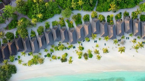 Beach bungalows and palms at Kuredu Island, Maledives